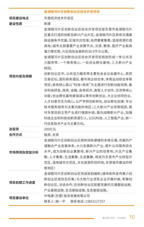 2021年東營市文化旅游項目開發(fā)策劃咨詢 賦能黃河入海，打造文旅新名片